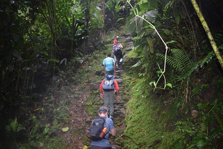 Get to know living indigenous culture in Ciudad Perdida (Santa Marta)