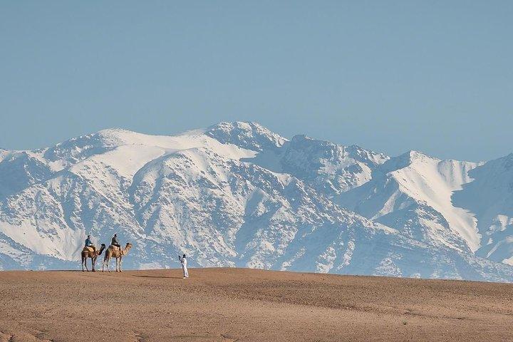 Authentic Agafay Camel Experience with Moroccan Snack