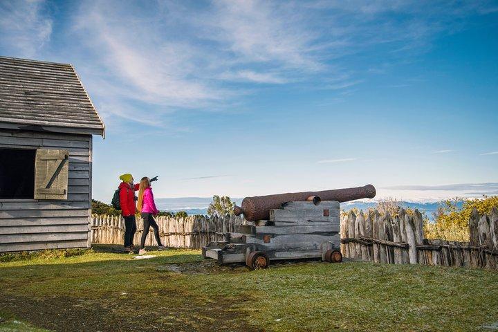 Cruises Shore Excursions : Highlights + Fort Bulnes