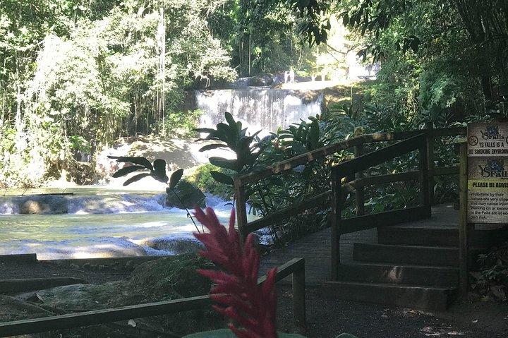Ys Falls, Floyd’s Pelican Bar, Black River Safari