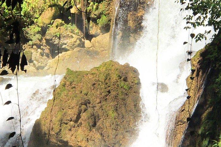 Ys Falls, Floyd’s Pelican Bar, Black River Safari