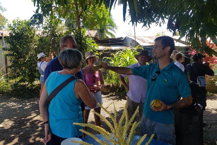 Tortuguero Canals Including Playa Bonita and Puerto Limon Highlights