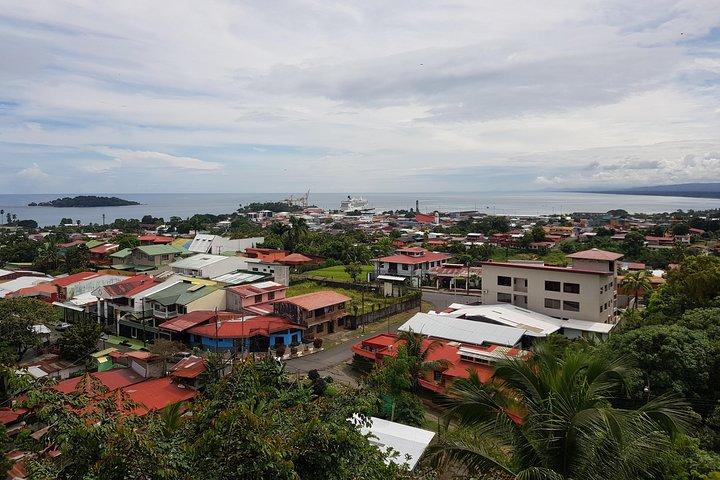 Tortuguero Canals Including Playa Bonita and Puerto Limon Highlights
