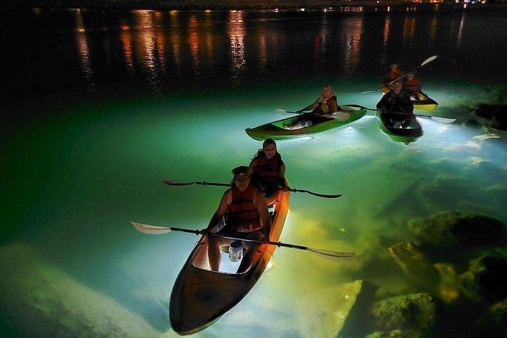 Sharkeys Glass Bottom Fish Feeding LED Night Tour St. Pete Beach