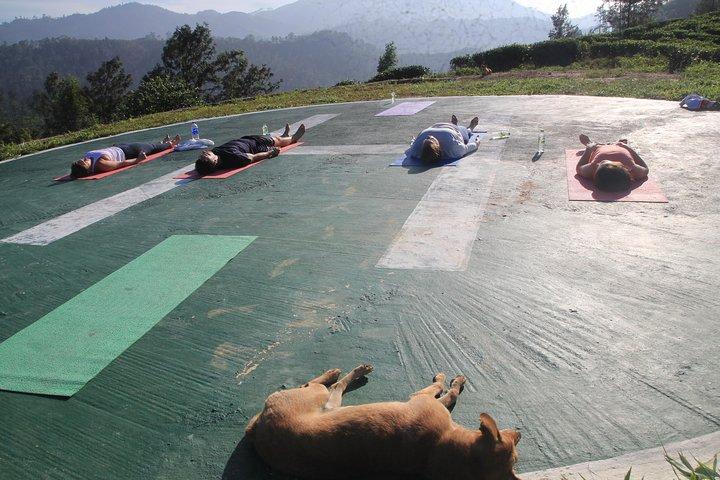 Sunrise Yoga Lesson.