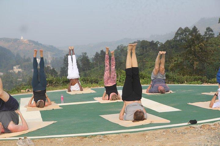 Sunrise Yoga Lesson.