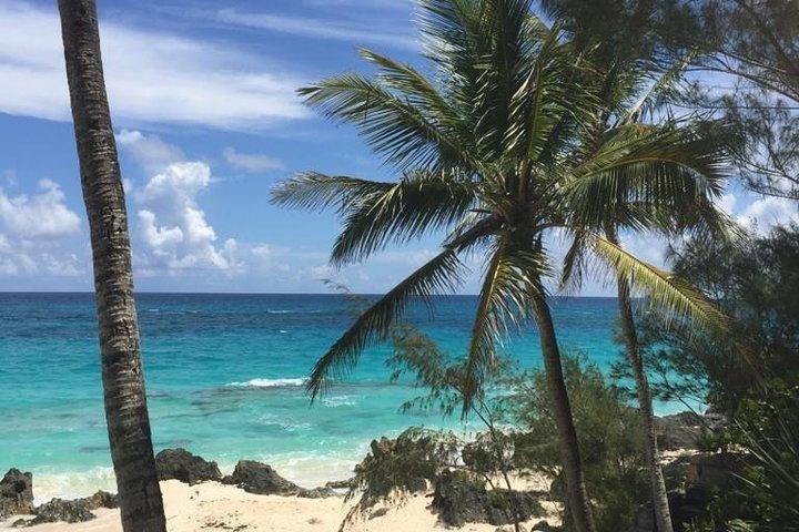 Bermuda Beach Hop Experience