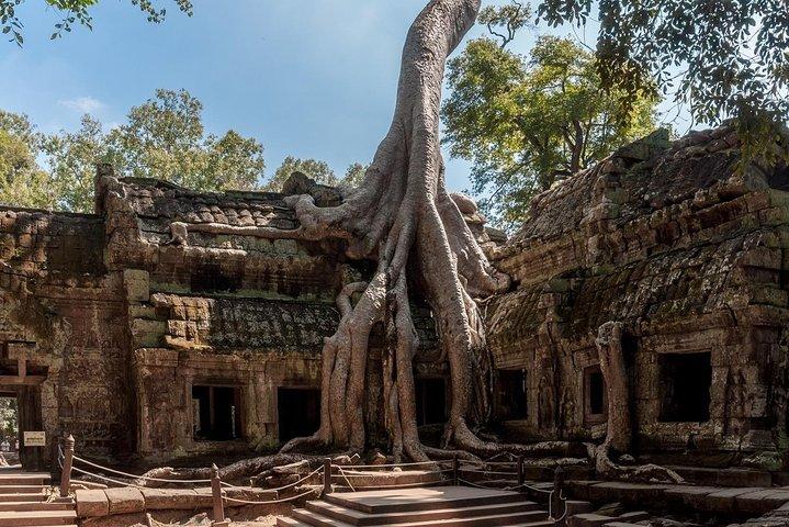 Siem Reap’s signature temples discovered