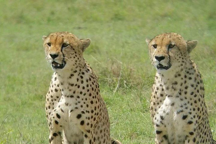 2 Days Safari, Amboseli Naitional Park