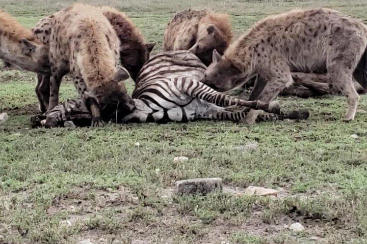 2 Days Safari, Amboseli Naitional Park