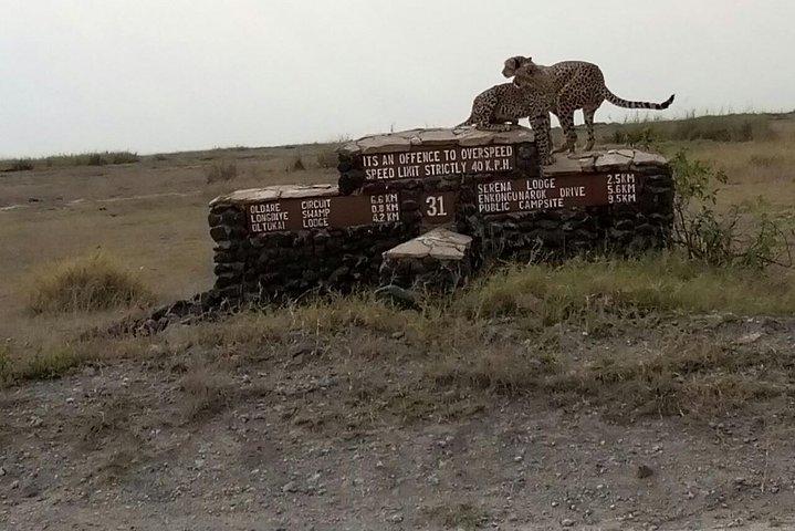 2 Days Safari, Amboseli Naitional Park