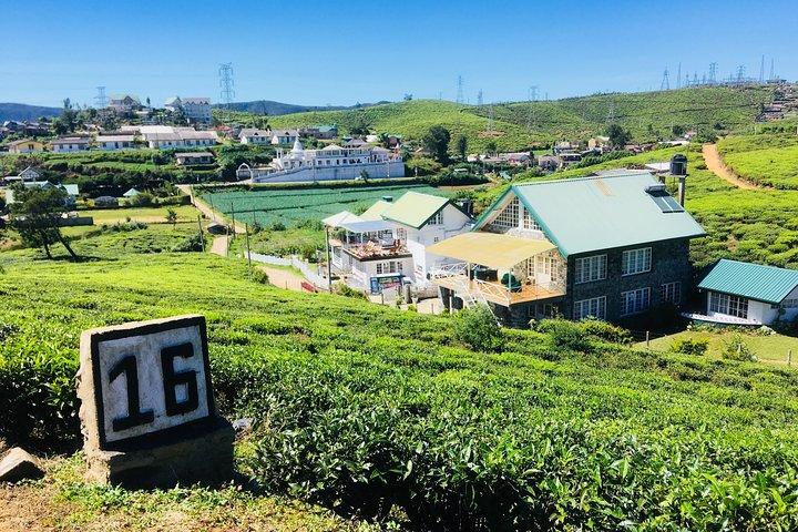 Explore Nuwara Eliya - Waterfall & Tea Factory Tour