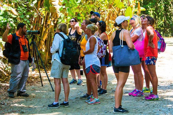Manuel Antonio National park, PRIVATE day tour from jaco