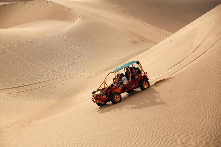 Full Day Paracas - Ica - Oasis Huacachina