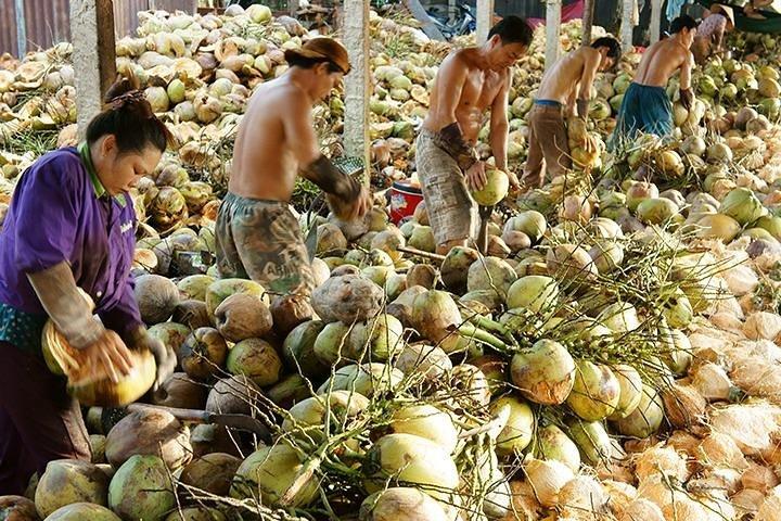Ben Tre Day Trip From Ho Chi Minh City