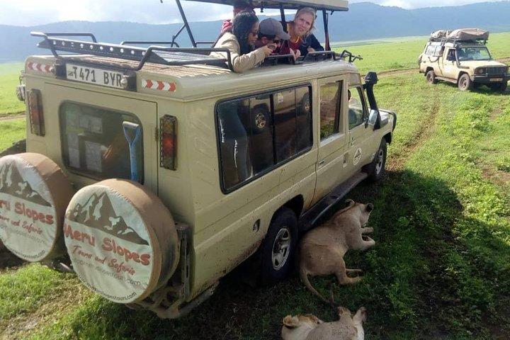 4 Days join group tour Tarangire Serengeti and Ngorongoro crater