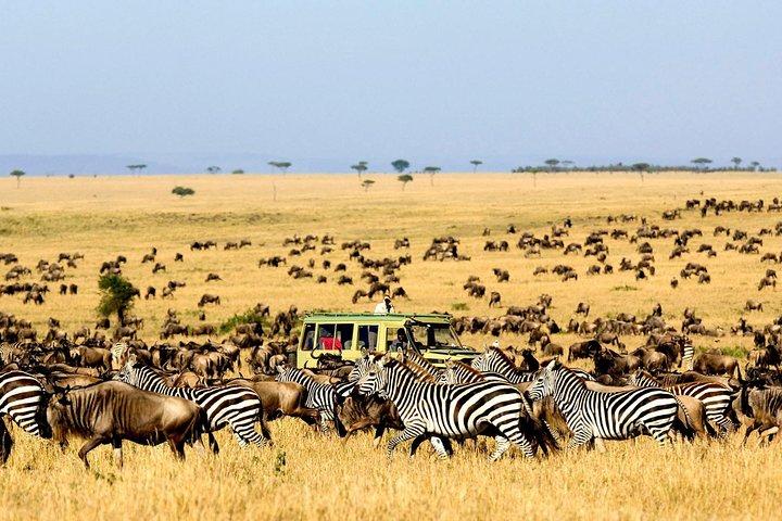 6 Day: Magnificent Wildlife Adventure