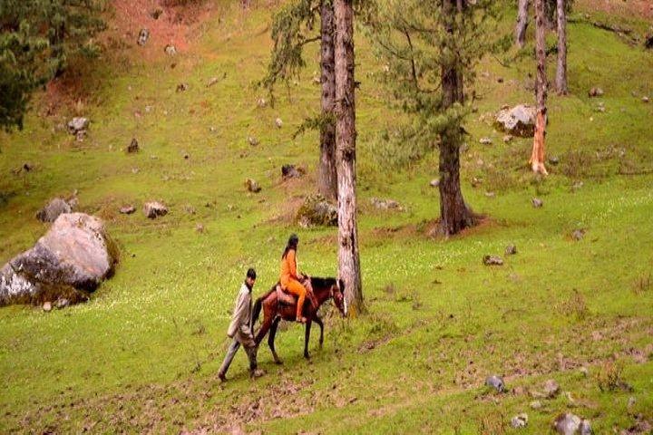 Private Custom Excursion Tour to Pahalgam from Srinagar with Guide