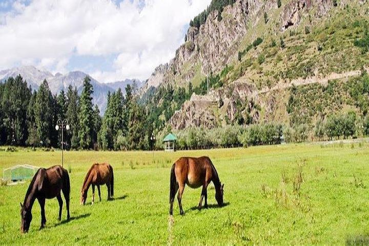 Private Custom Excursion Tour to Pahalgam from Srinagar with Guide