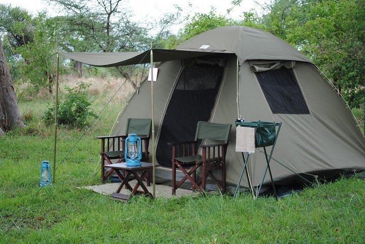 4 Days Tanzania Safari