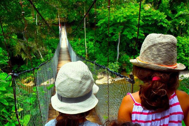 FAMILY JUNGLE TOUR: Orangutan Trek (4-hours hike) by EcoTravel Bukit Lawang