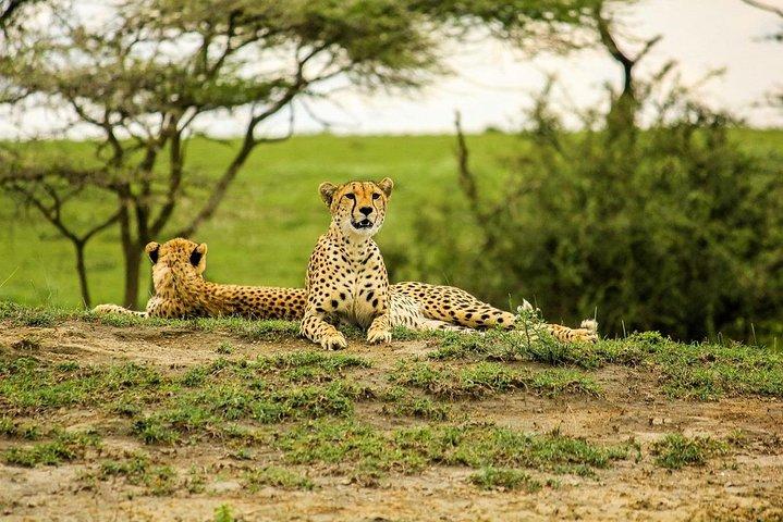 5 Day: Spectacular View of Ngorongoro Crater