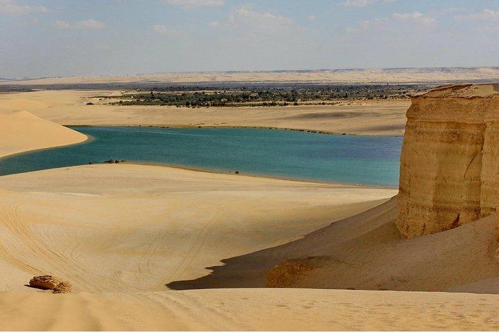 Day Tour To Fayoum Oasis From Cairo