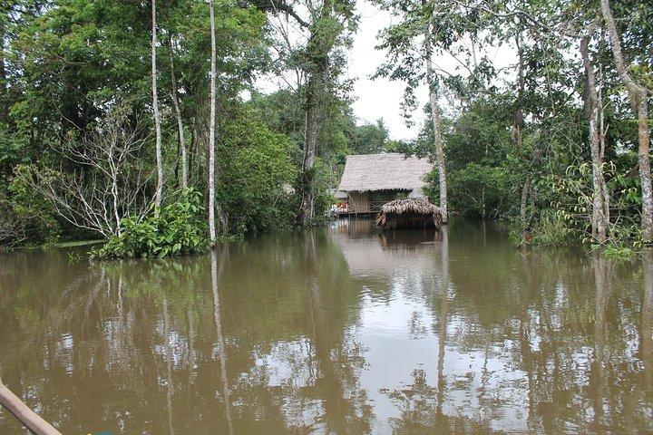 Amazon Untamed Expedition 3 Days and 2 Nights pacaya samiria