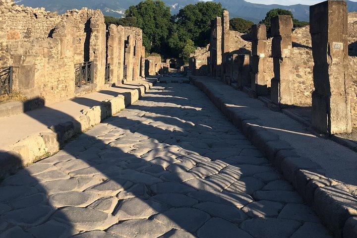 Pompeii with an archaeologist, the original!!!