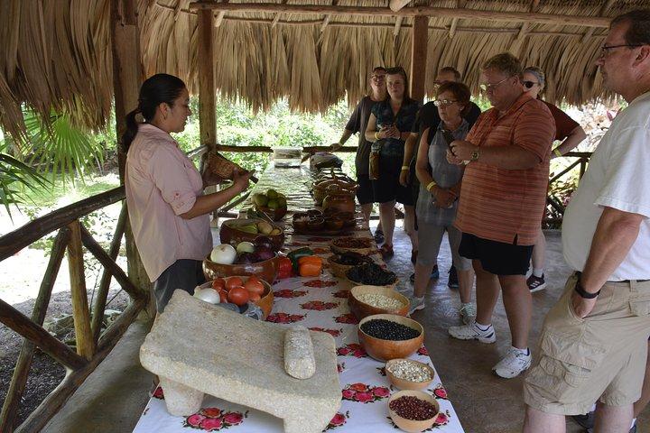 Ancient Chacchoben Mayan Ruins & Mayan Experience from Costa Maya