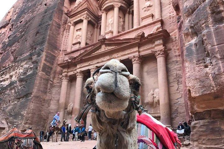 Private Petra Full-Day Trip from Aqaba City