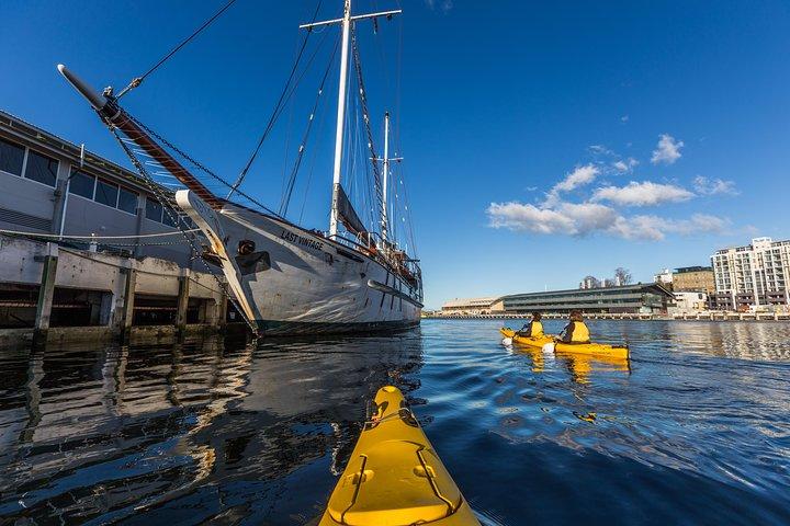 Hobart Kayak Tour