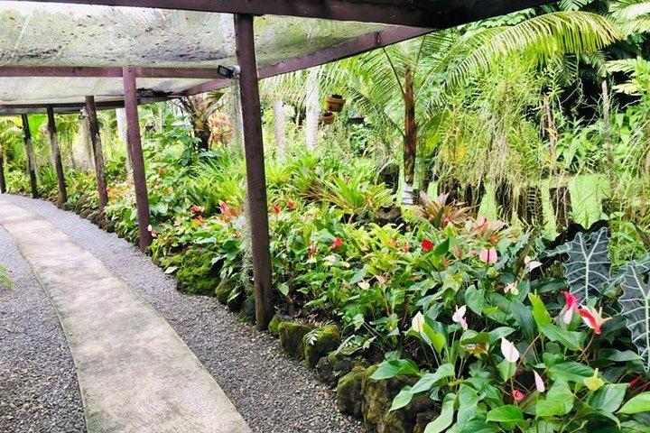 Nadi Sightseeing & Mud Pool Tour - Ex Fiji Marriott, Momi Bay