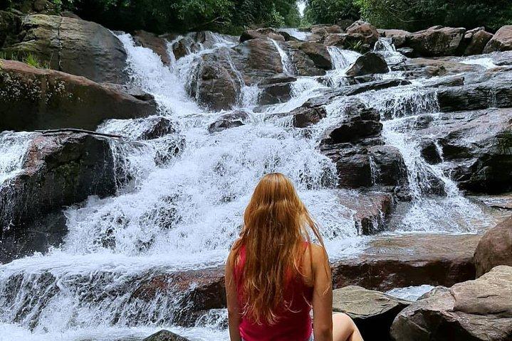Trekking and Bird Watching in Kanneliya Rain Forest
