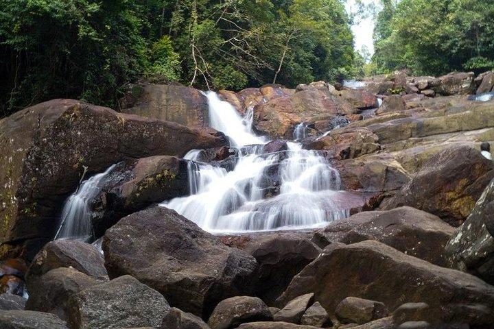 Trekking and Bird Watching in Kanneliya Rain Forest
