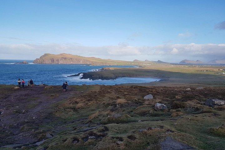 Dingle Peninsula Tour from Killarney: Including Wild Atlantic Way
