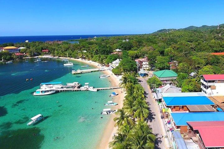 West End Tour (Choco Factory + Rum Company + Art Gallery + Rusty Fish and more)
