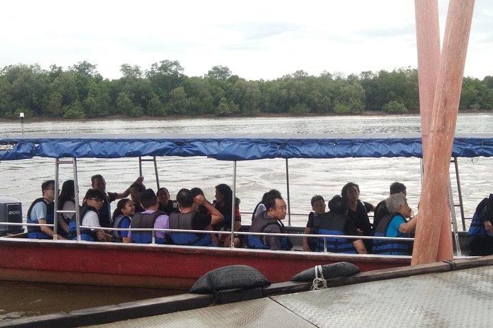 Private Tour Fireflies, Eagles and Monkey