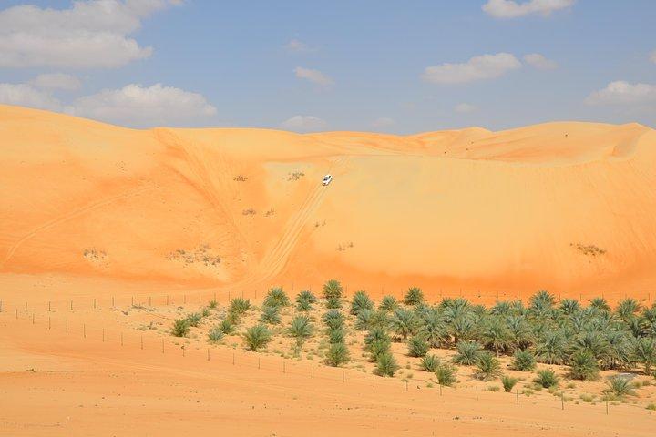 Liwa Full Day Desert Safari (exploring)