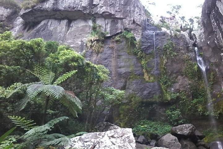 Private Breathtaking Koroyanitu Half Day Waterfall Hike