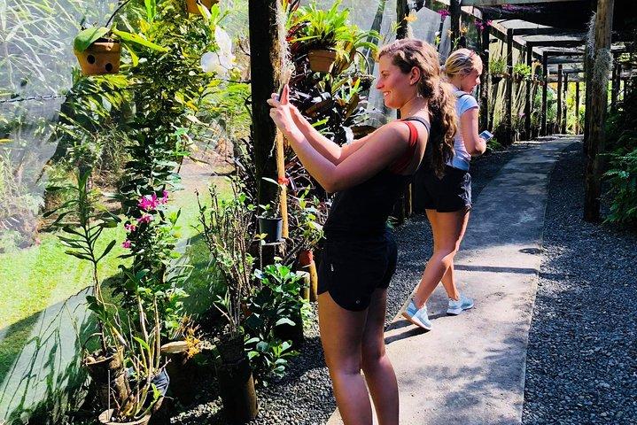 Nadi Sightseeing & Mud Pool Tour