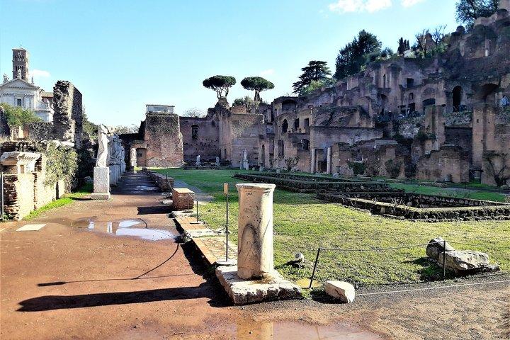 Rome in a Day Private Combo: Colosseum, Vatican & Lunch Included