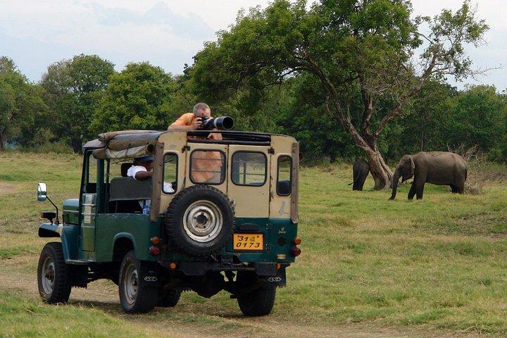 Animal Kingdom - UDAWALAWE Day Tour