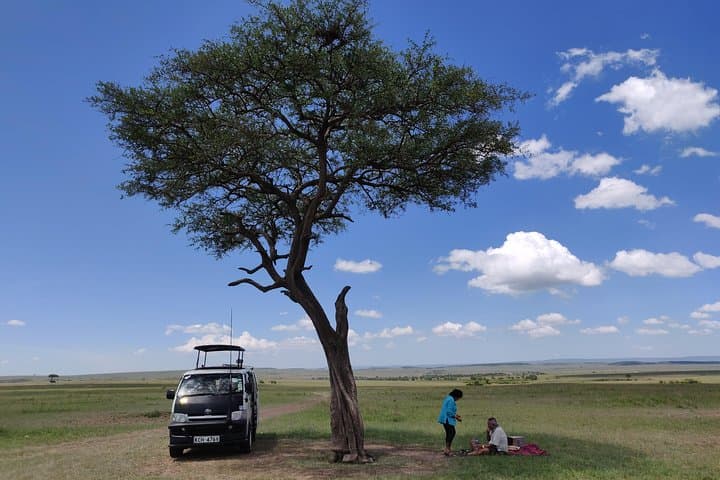 Maasai Mara Safari!!