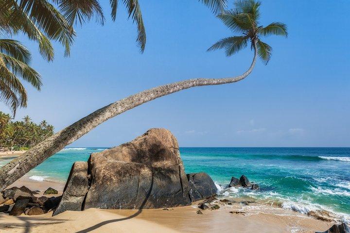 Southern Sri Lanka Sightseeing Private Day Trip