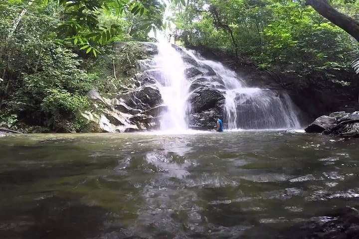 Hot Spring and Waterfall Day Tour
