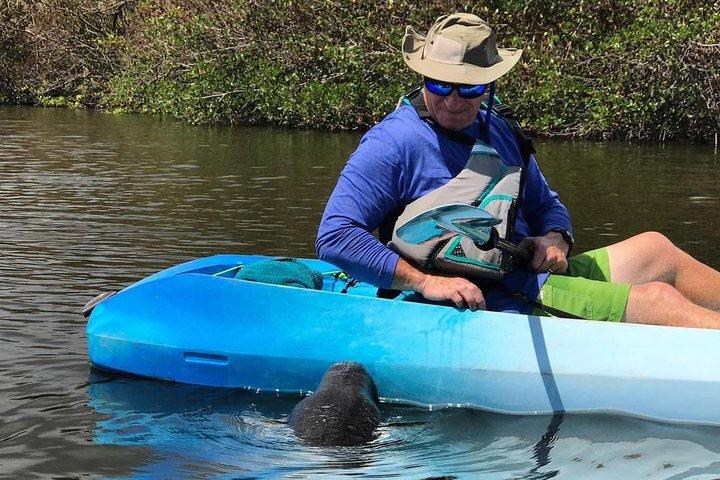 Wildlife Refuge Manatee, Dolphin & Mangrove Kayak or Paddleboarding Tour!