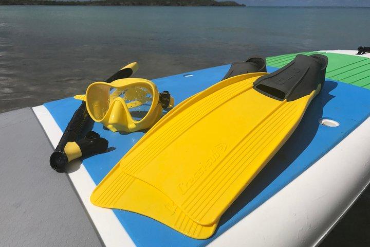 Snorkeling Lesson & Interactive Experience for Kids and Adults