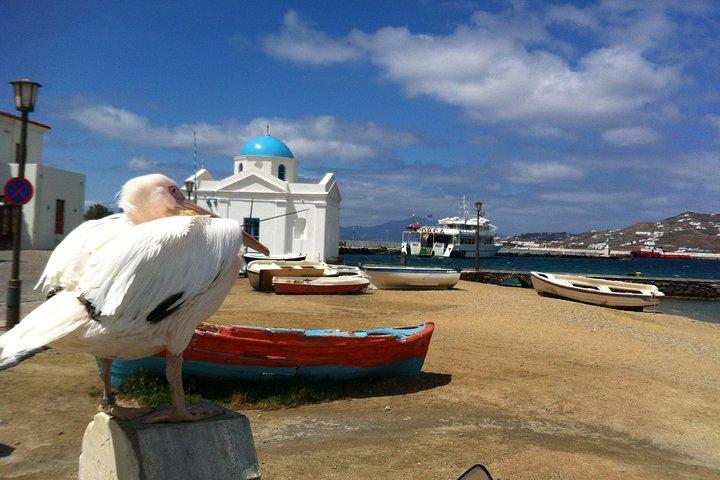 Private Tour: Mykonos Island in Half a Day