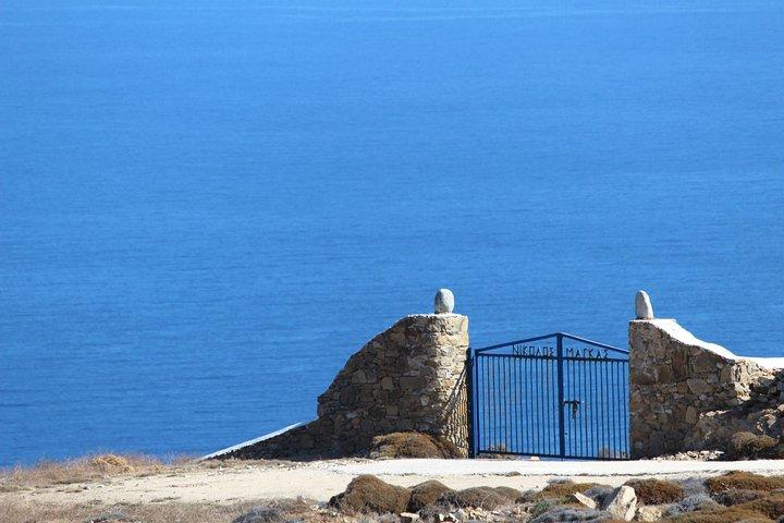 Food Tour in Mykonos Walking and Tasting Experience